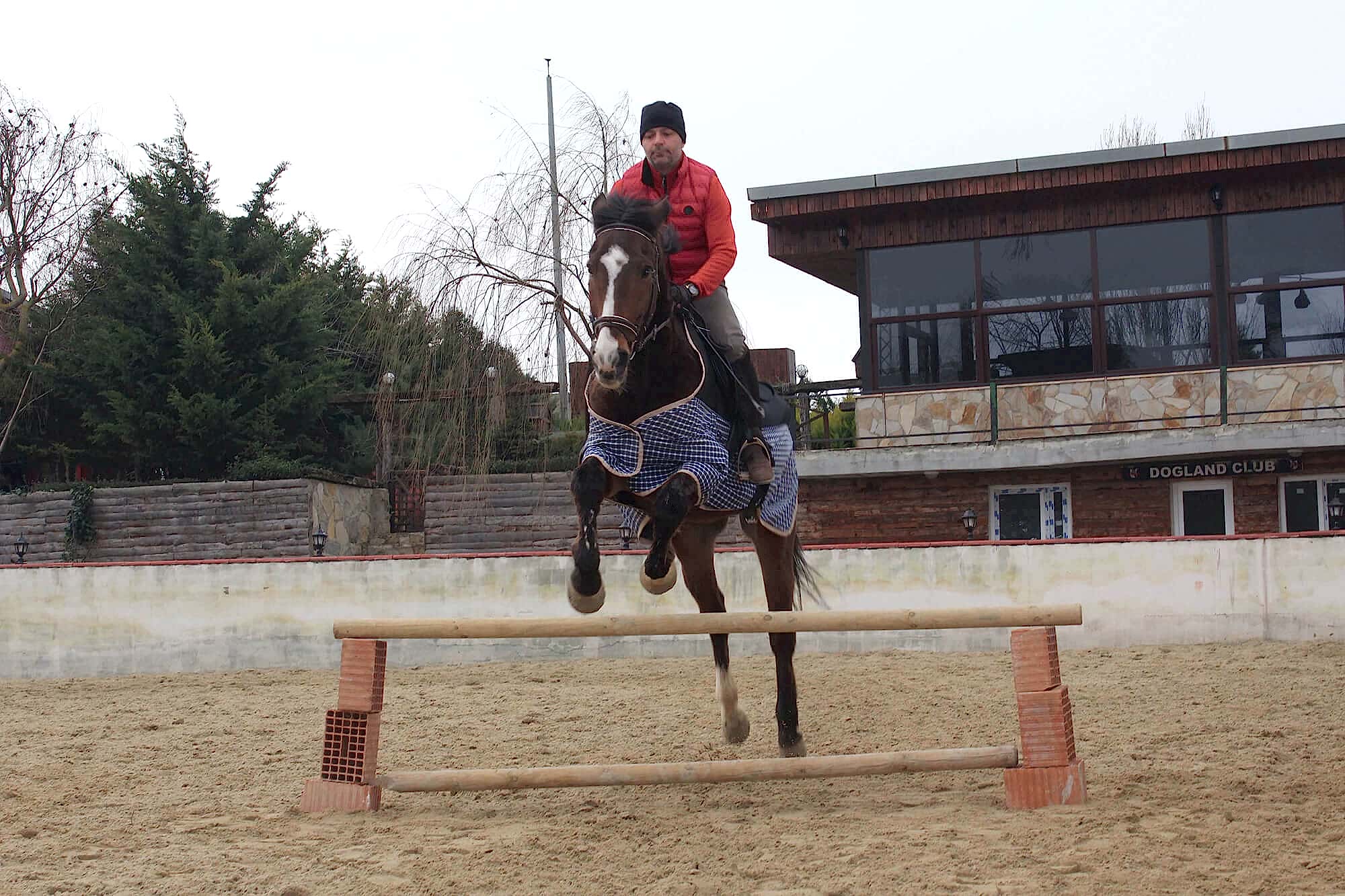 At Çiftliği ve Eğitimi