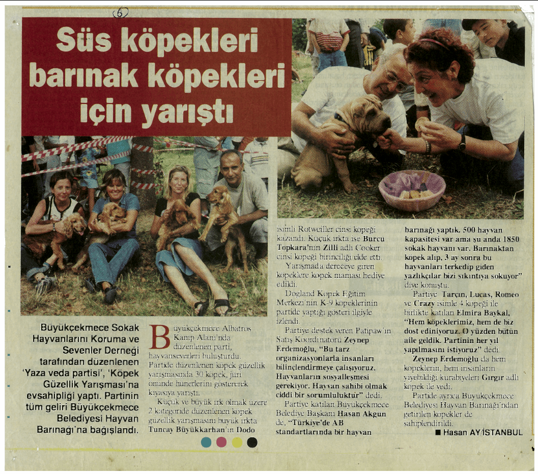 Sus Köpekleri Barınak Köpekleri İçin Yarıştı