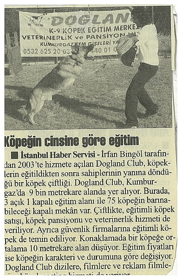 Köpeğin Cinsine Göre Eğirim